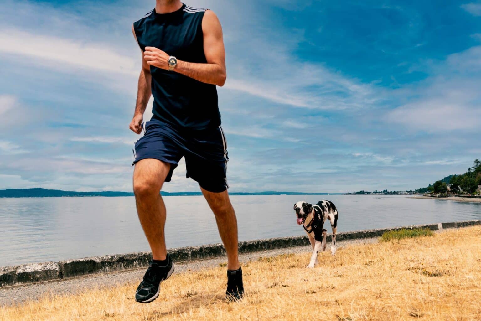 Running with a dog how far is too far for them