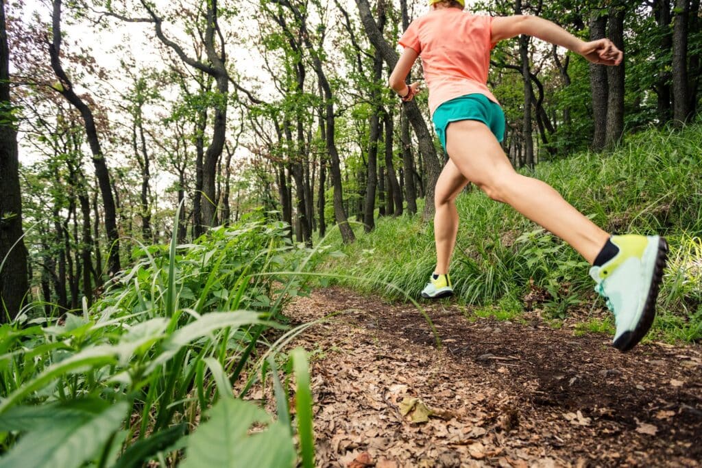 What is elevation gain?
