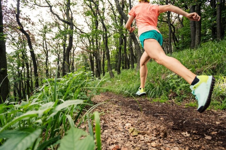What is elevation gain?