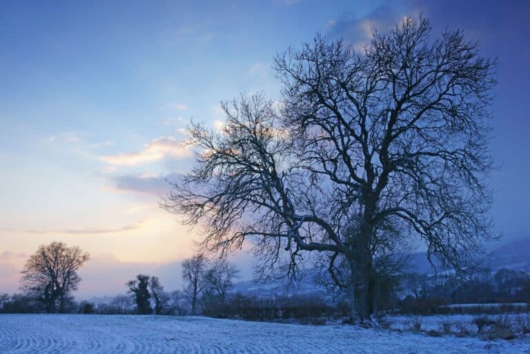 Getting motivated to start running again in January