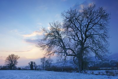 Getting motivated to start running again in January